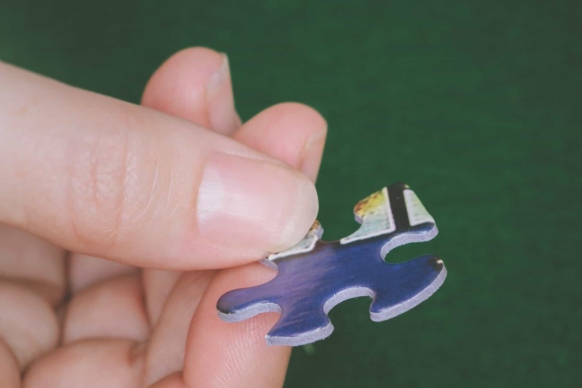 The Sixties (305pz) - 1000 Piece Jigsaw Puzzle